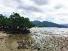 Agricultural-Beach Lot in San Vicente, Palawan for Sale